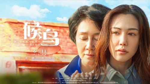 你跑不了我的未来老公（侯呈玥版）——探寻爱情的真谛