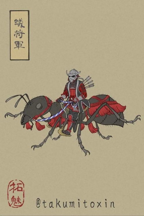 凤凰吟（69集），古典之美与现代情感的交融