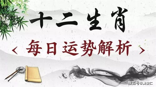 贤妻扶我凌云志（71集），爱情与事业的双重奋斗