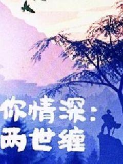 情深似景，一部跨越时空的深情故事（98集）