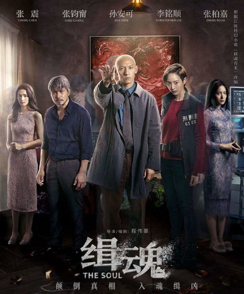 玫瑰陷落（67集），蹇代莉的故事