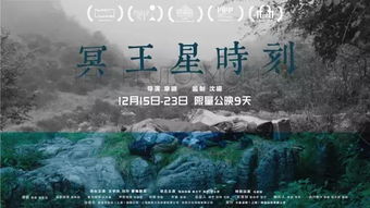 孤注一掷之神尊归来（70集）剧情解析及深度解读