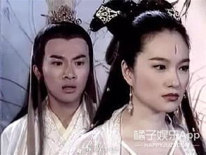绝代双骄（81集），王艺阳的璀璨星途
