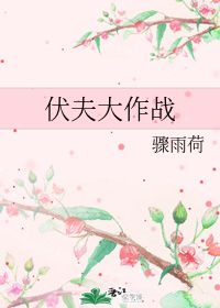 闪婚蔷薇，都市爱情的疾风骤雨（106集深度解析）