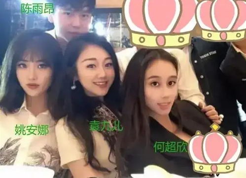 苏律师我想闪个婚，苏大律的社畜女友（95集）