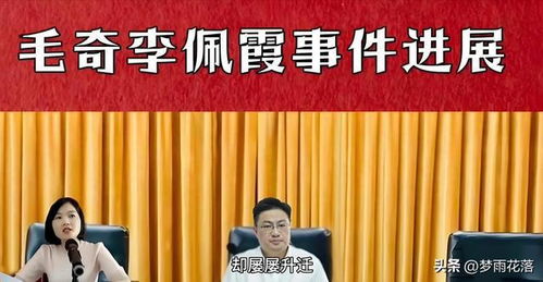 平民大律师（95集），正义之光照亮法治之路