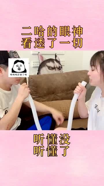我的妈咪是大佬（99集）