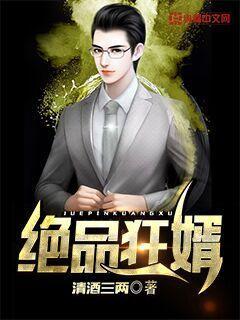 绝品医婿，传奇人生长篇