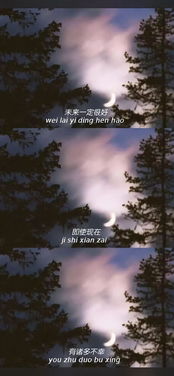 世间繁华只因你（75集）