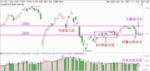 为何A股无量却持续反弹，探究背后的动因与市场机制