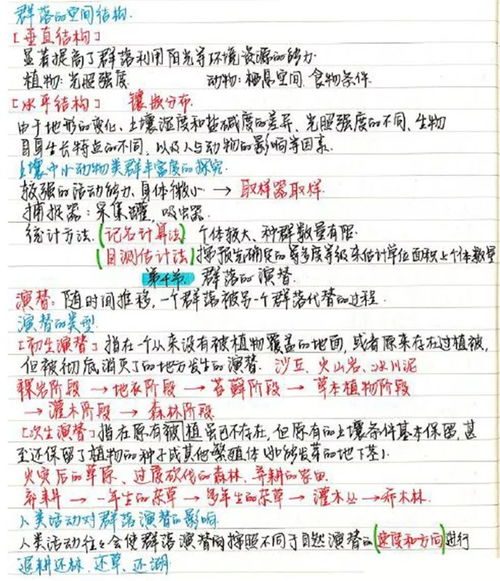 夫人马甲藏不住了（81集）剧情深度解析与观感分享