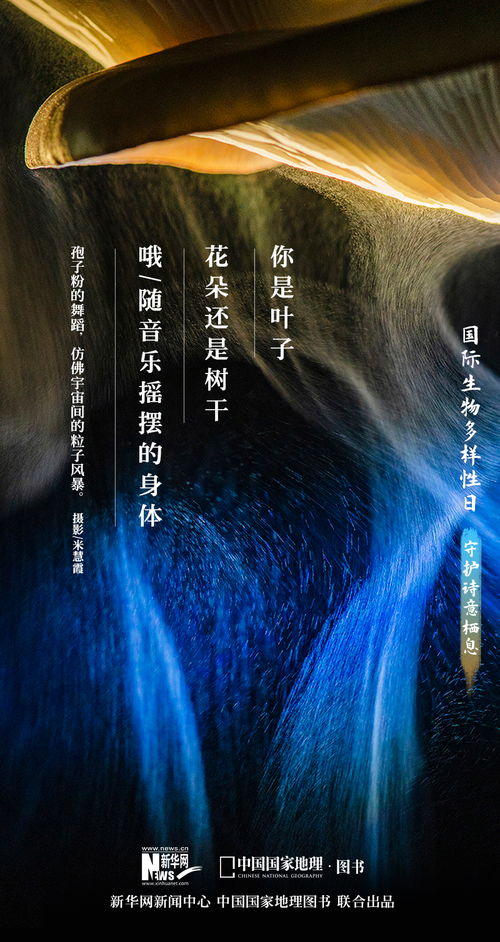 黄金左眼，探寻神秘力量的起源与影响