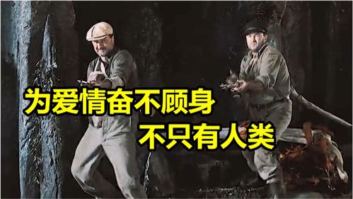 开局为爱冲锋，一场奋不顾身的情感之旅