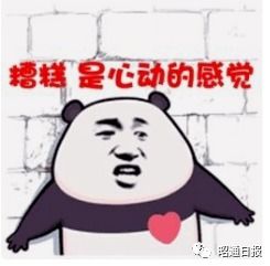 掉马后我的宝贝老婆惊呆了（1集）