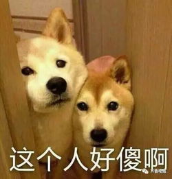 不当舔狗后，老公急哭了（69集）
