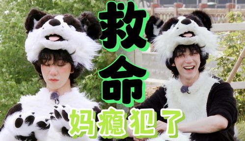 重生之妈妈救我