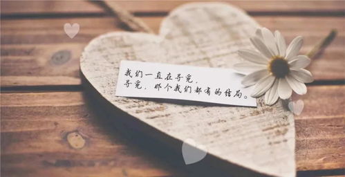 不可碰触的她，深度解读一部跨越界限的情感传奇（95集深度解析）