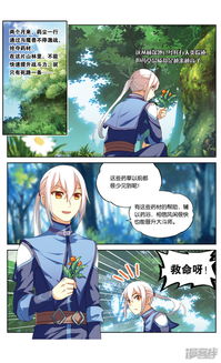 姐夫是药圣，传承与发展的医药传奇