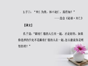 我自盛开（46集），绽放的生命之歌