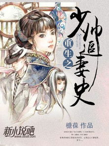 少帅的终极追妻攻略（全80集剧情解析）