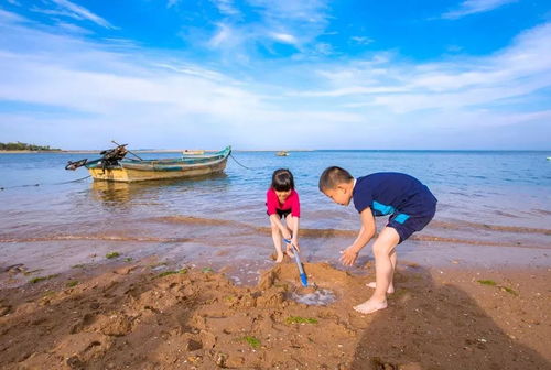 少年自当扶摇上，范佳琪的成长之旅（30集系列文章）
