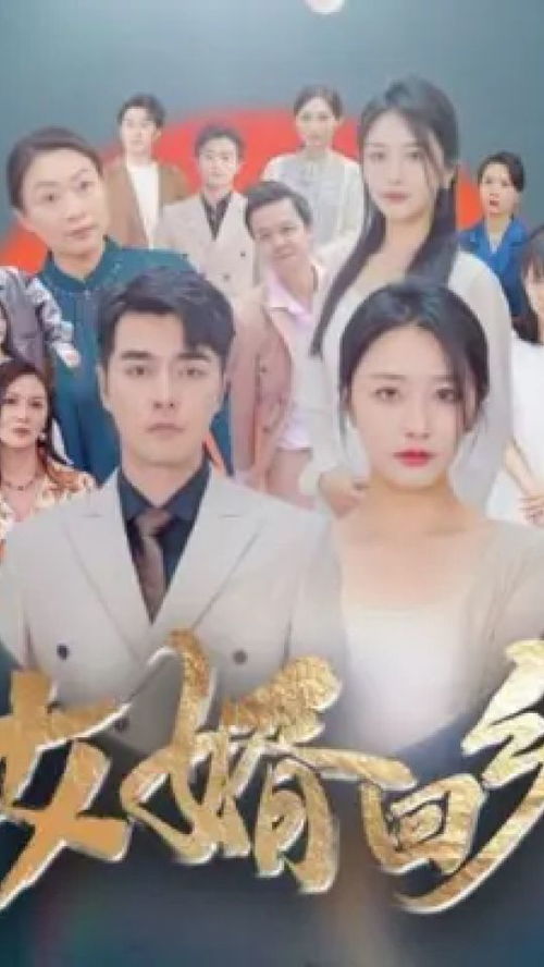 女婿回乡（120集）