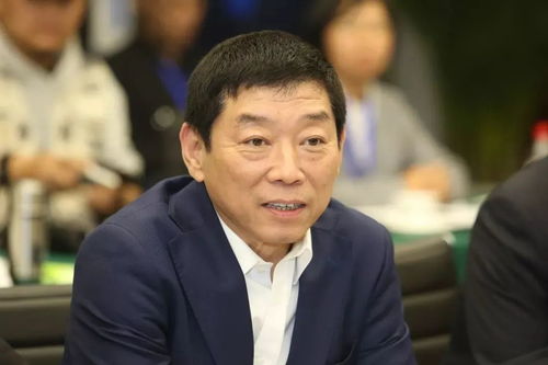 魏建军开车上台阶，挑战与克服