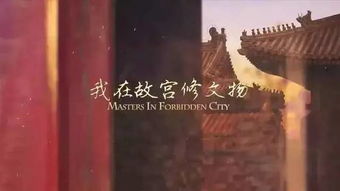 游龙传奇，探寻74集背后的故事与魅力
