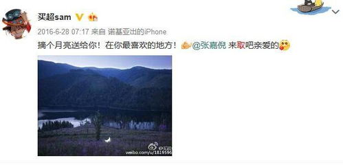 捡个公主当老婆，一段奇妙的缘分之旅（77集剧情概述）