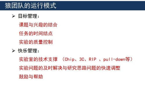 隐狼，深度解读与多维探析（共99集）