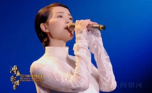 谢霆锋演唱会深情献唱，与王菲定情曲引发情感共鸣