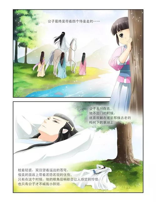 红娘下凡追夫记（一）至（一百集）总述