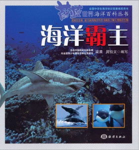海霸争艳（99集），海洋霸主间的壮丽对决与生存法则揭秘