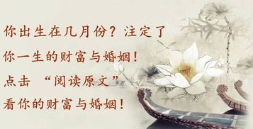此生一双人（69集）之深情不渝的缘分传奇