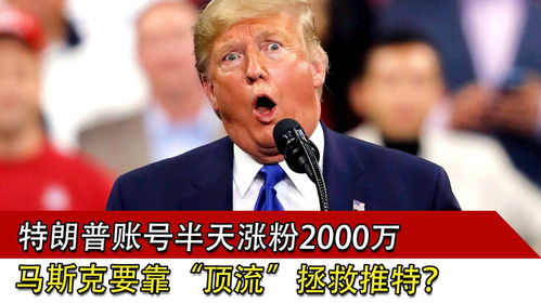 马斯克不到100天砍掉自己1500亿身家，商业巨头的财富震荡