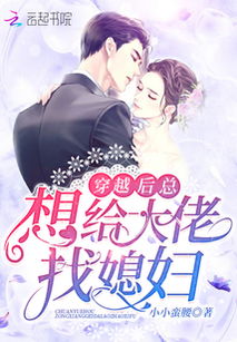 滴滴代嫁，一场跨越时空的婚恋传奇（92集）