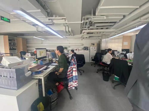 双面煮妇，生活的多重色彩（99集深度解析）