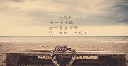 两相思——95集深情交织的情感故事