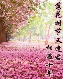 落花时节又逢君开播——重温美好时光，遇见诗意人生