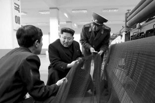 朝鲜首次证实向俄罗斯派兵参战，背后的原因与影响