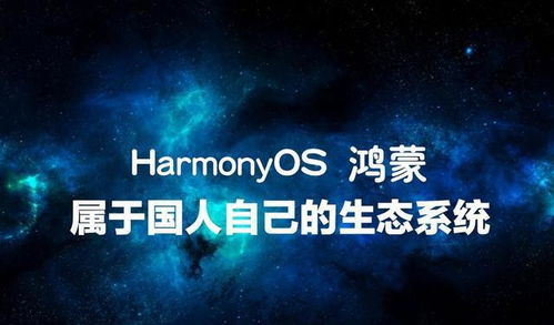 崛起，从掌控时间开始——李若希的成长之路（88集）