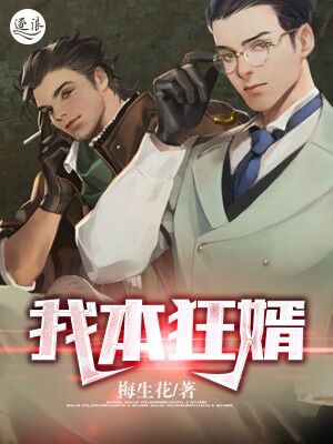 我本狂婿