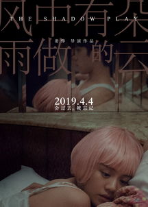 沈爷您失宠了，一场关于权力与情感的复杂纠葛（99集剧情解析）
