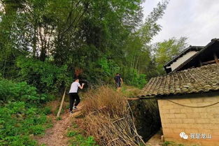 阳光照进小山村，杨景景的故事（60集连载）
