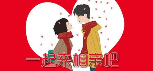 闪婚千金女与相亲走错桌的奇妙缘分