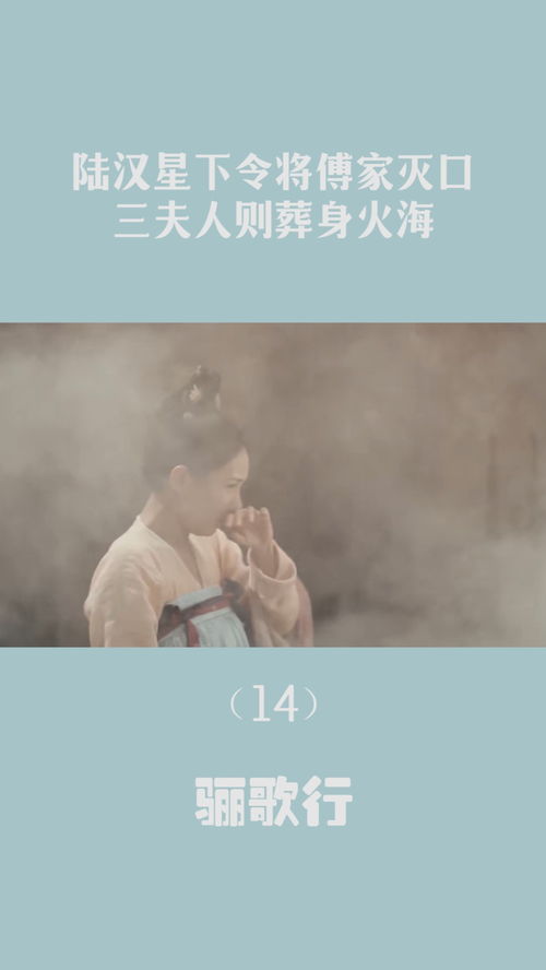夫人，陆总已死请节哀（第95集）