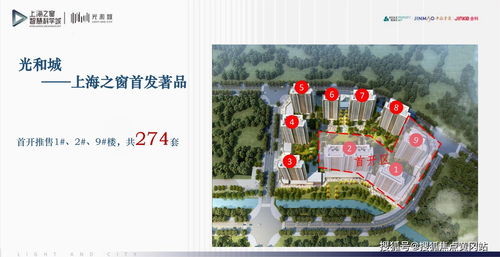 不装了，老子千亿富豪你高不可攀，揭秘富豪生活的85集剧情