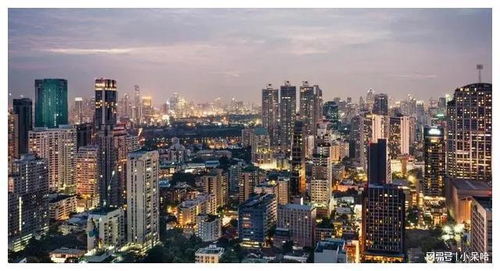 龙游都市（98集），繁华都市中的传奇故事