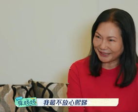 新版，消失的妻子——双生姐妹的反击攻略（63集）与李婧的觉醒