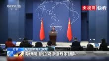 外交部发布视频不跪，背后的深层意义与时代呼声